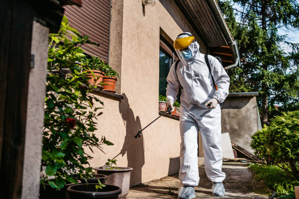 Best Bed Bug Extermination  in Milford Mill, MD