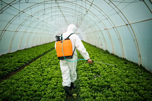 Pest Prevention Services in Milford Mill, MD