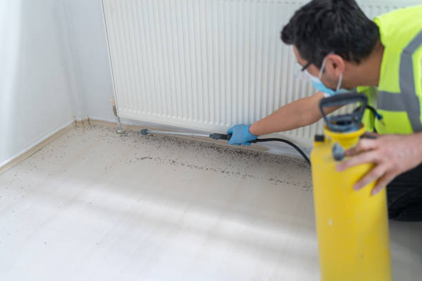 Best Pest Control Treatment  in Milford Mill, MD